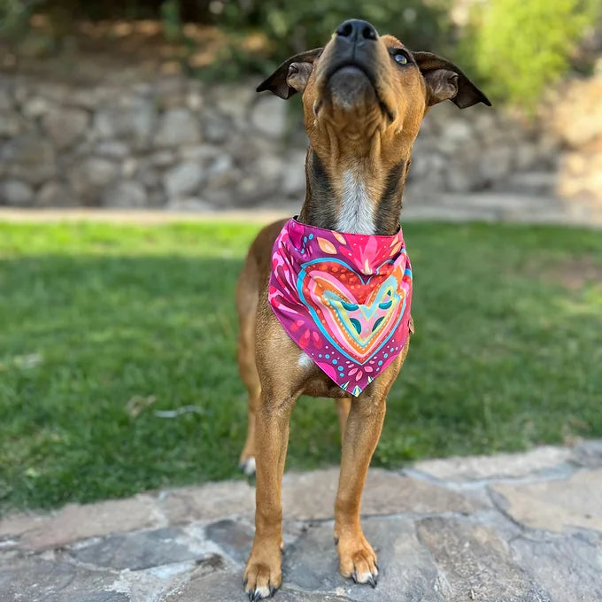Bandana Pink