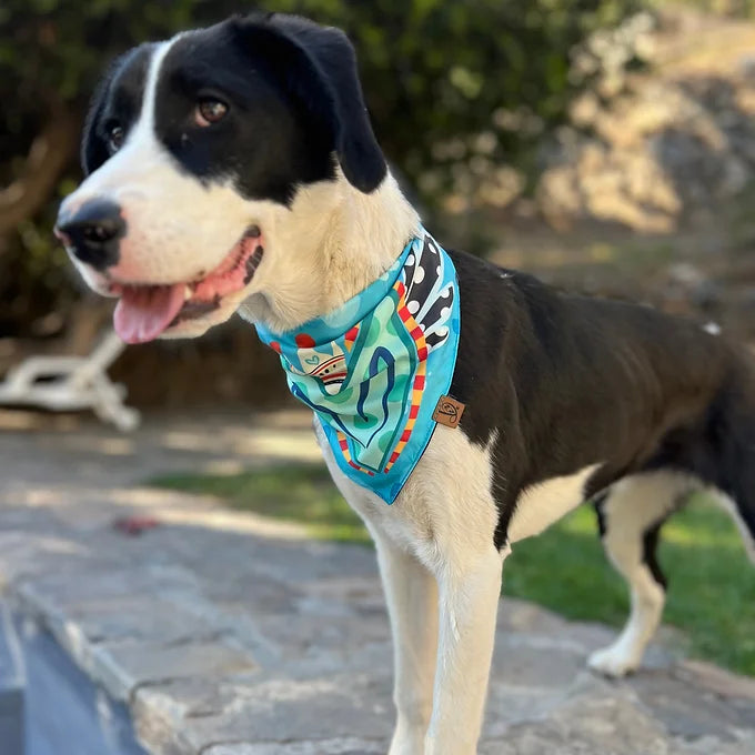 Bandana Acua